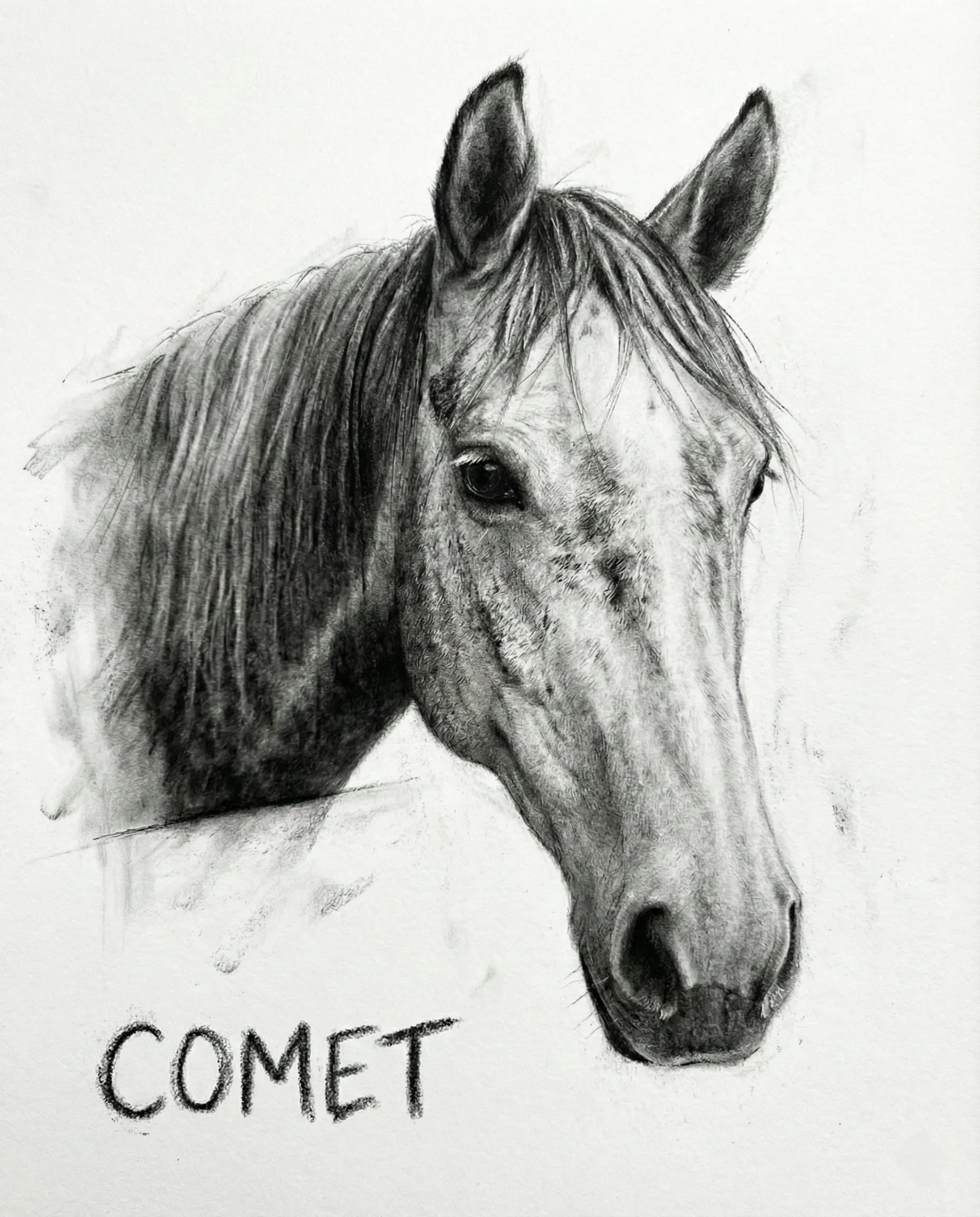 Pet Memorial Portrait