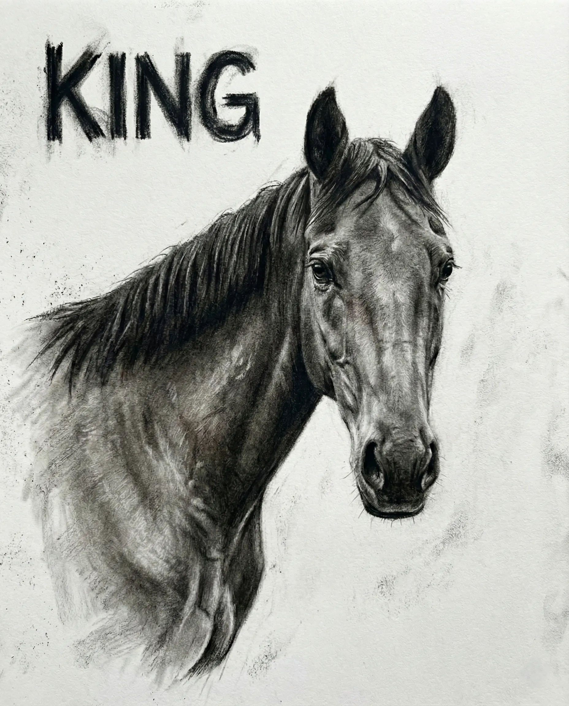 Pet Memorial Portrait