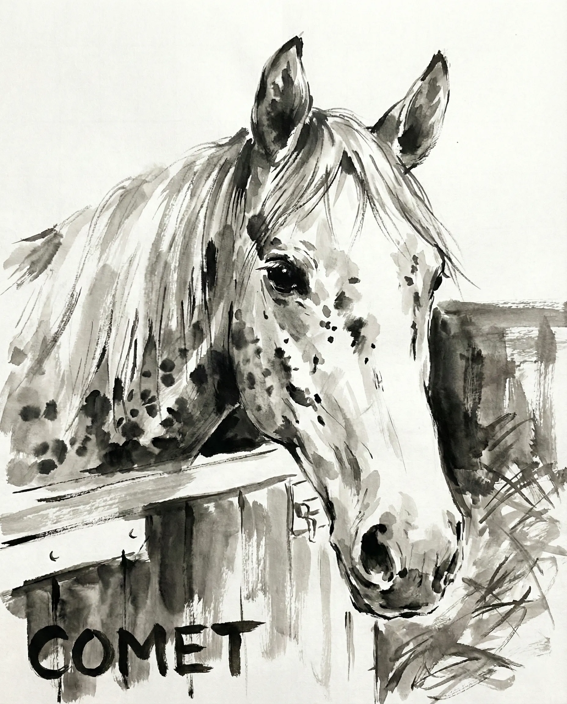 Pet Memorial Portrait