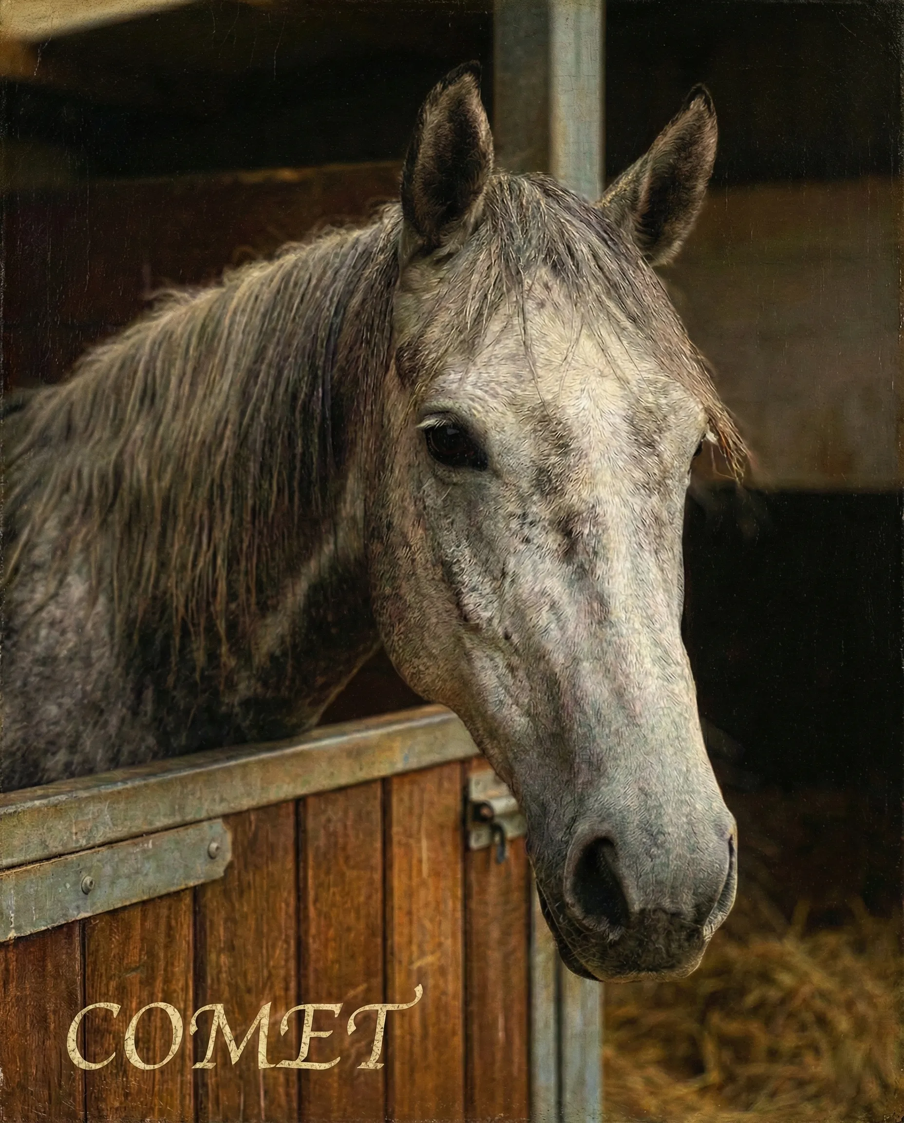 Pet Memorial Portrait