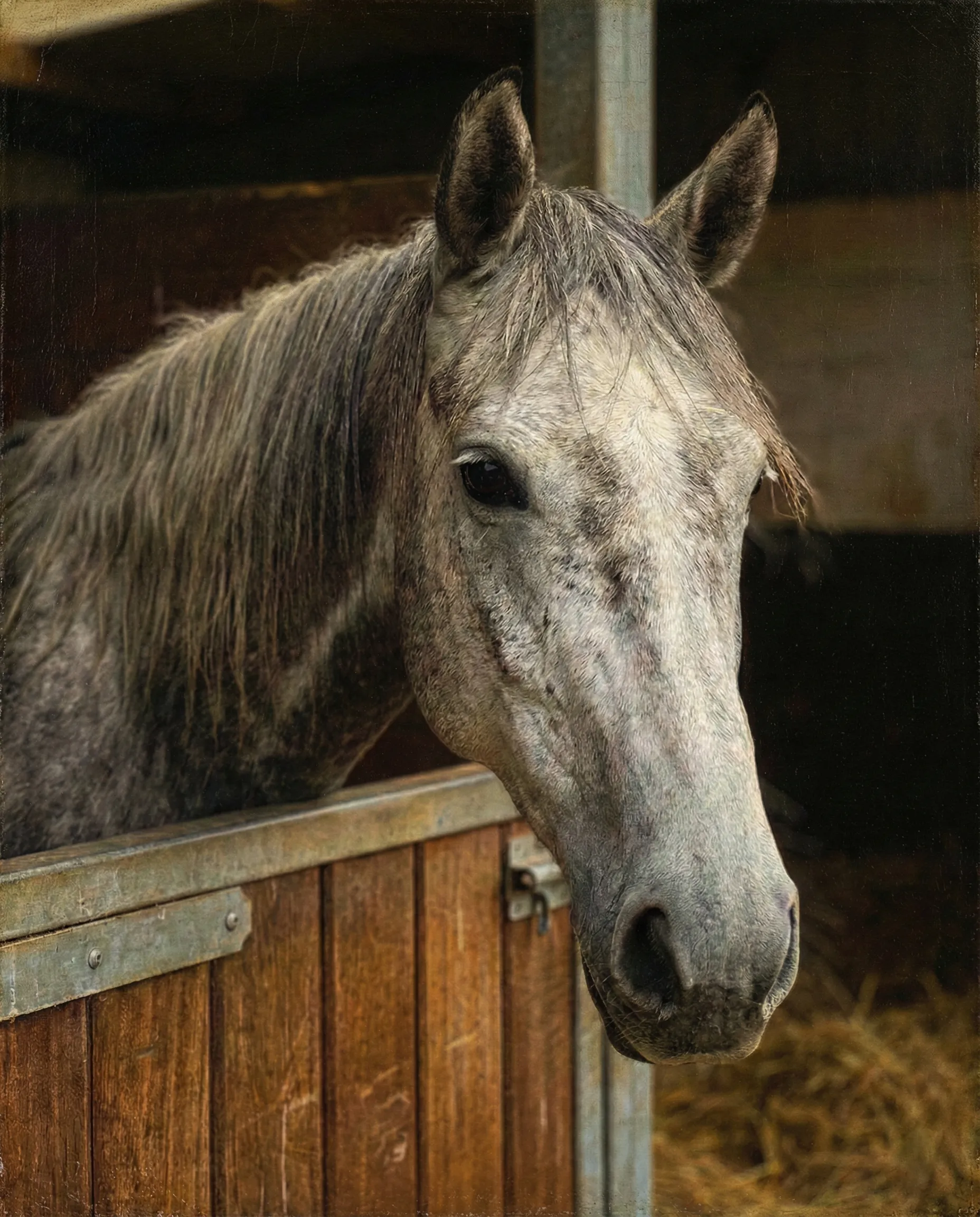 Pet Memorial Portrait