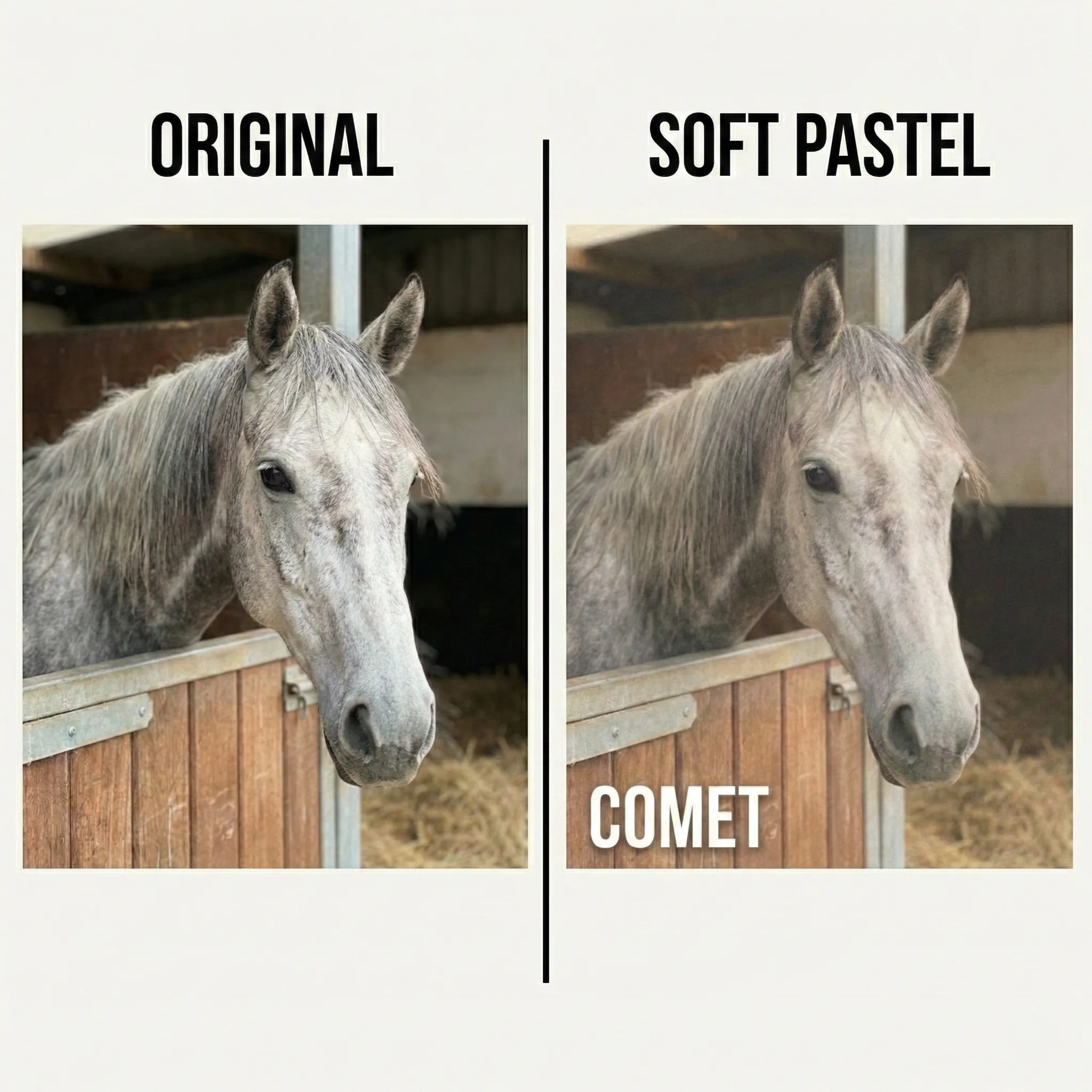 Pet Memorial Portrait