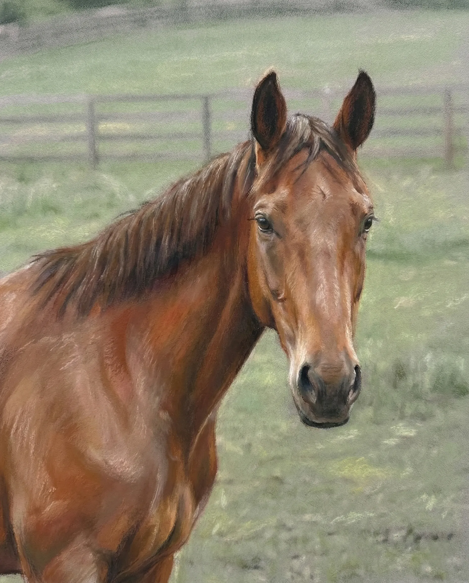 Pet Memorial Portrait