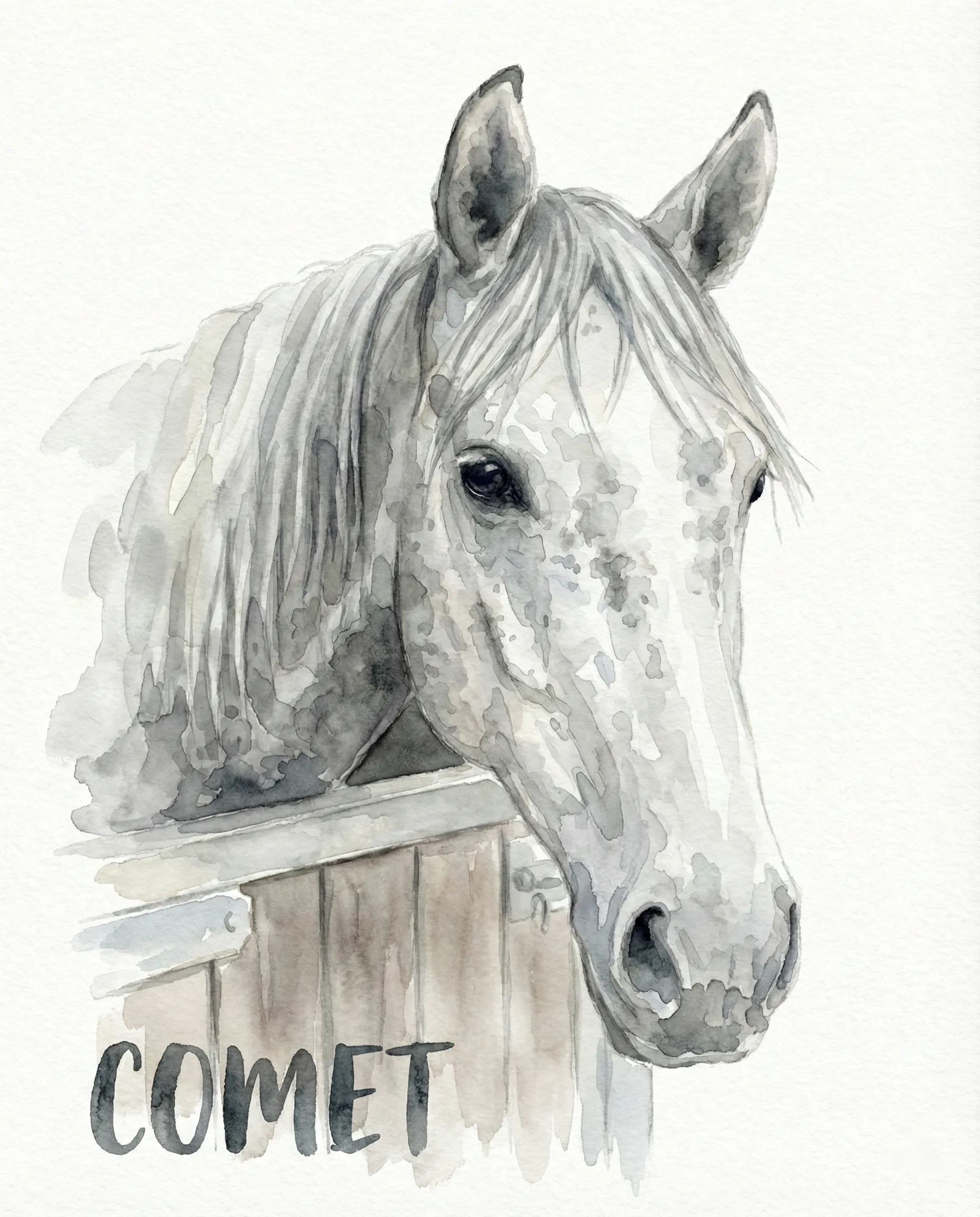 Pet Memorial Portrait