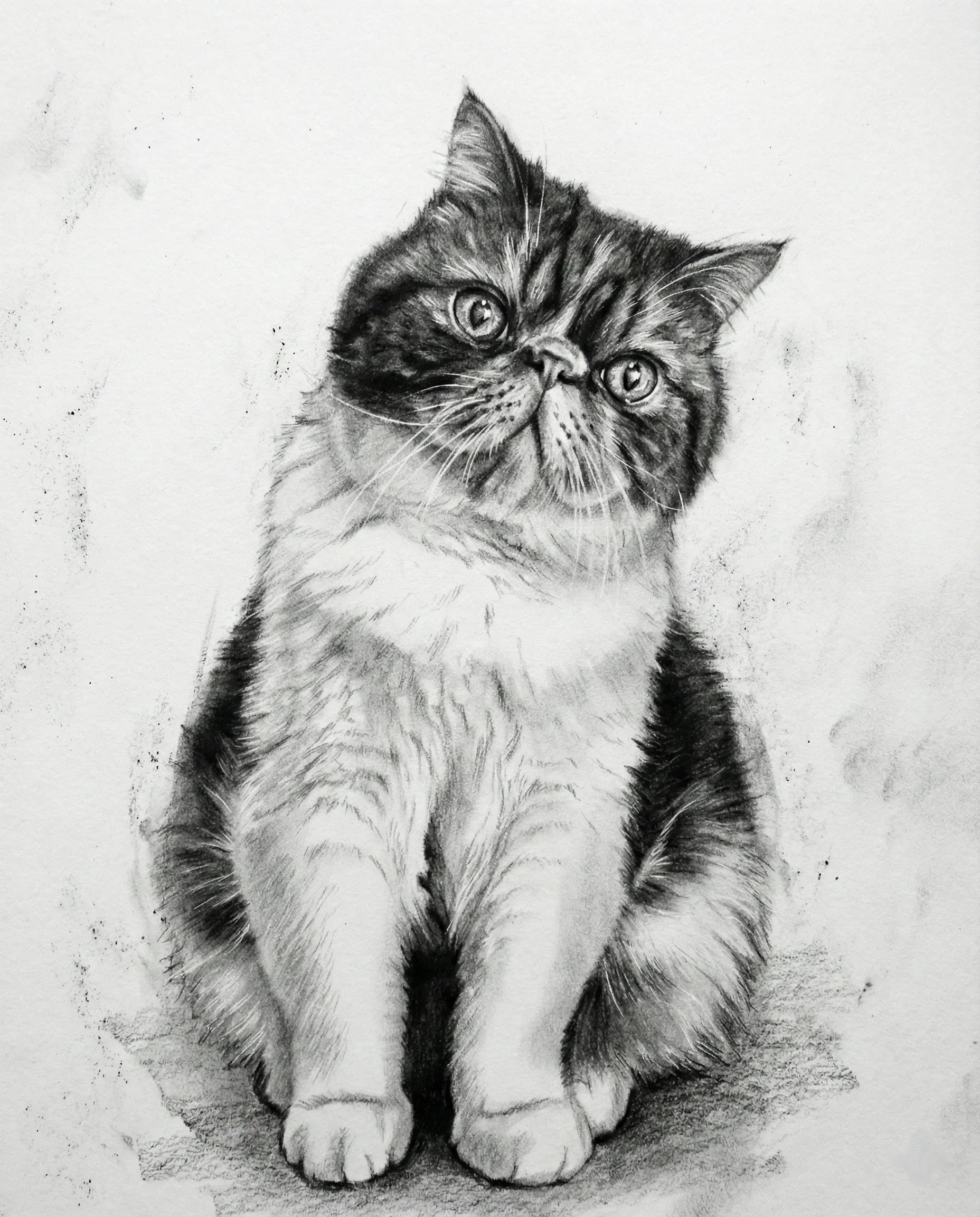 Pet Memorial Portrait