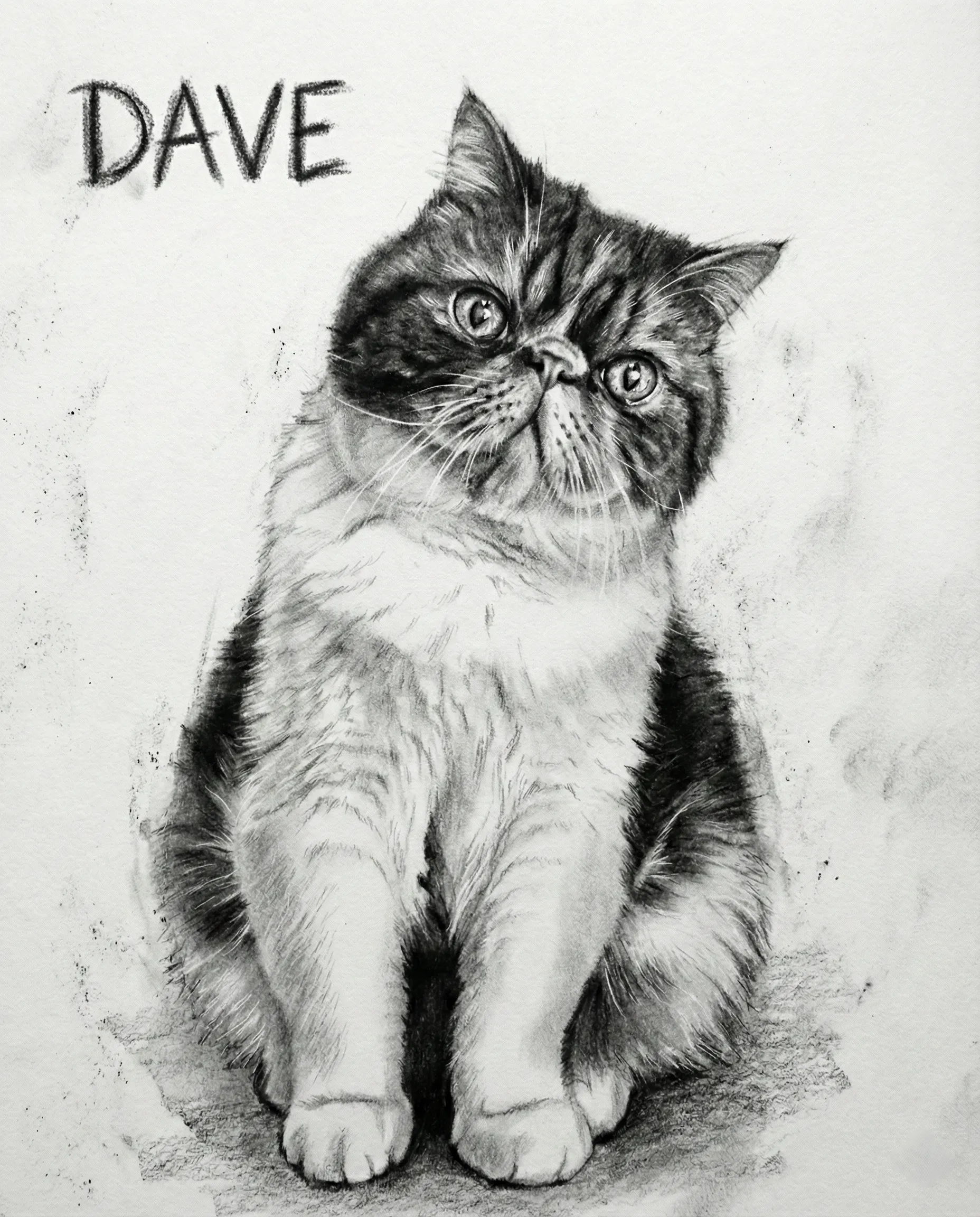 Pet Memorial Portrait