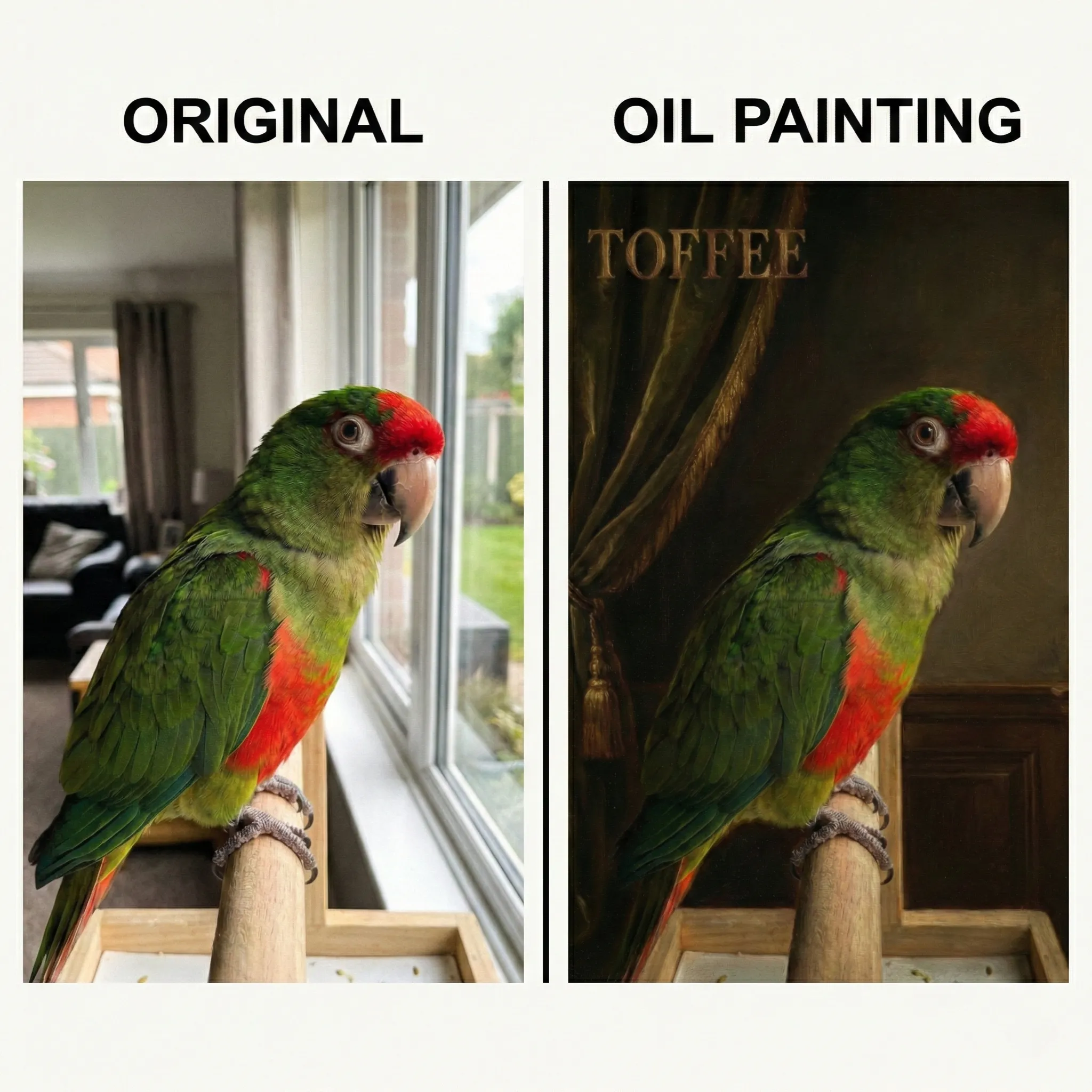 Pet Memorial Portrait