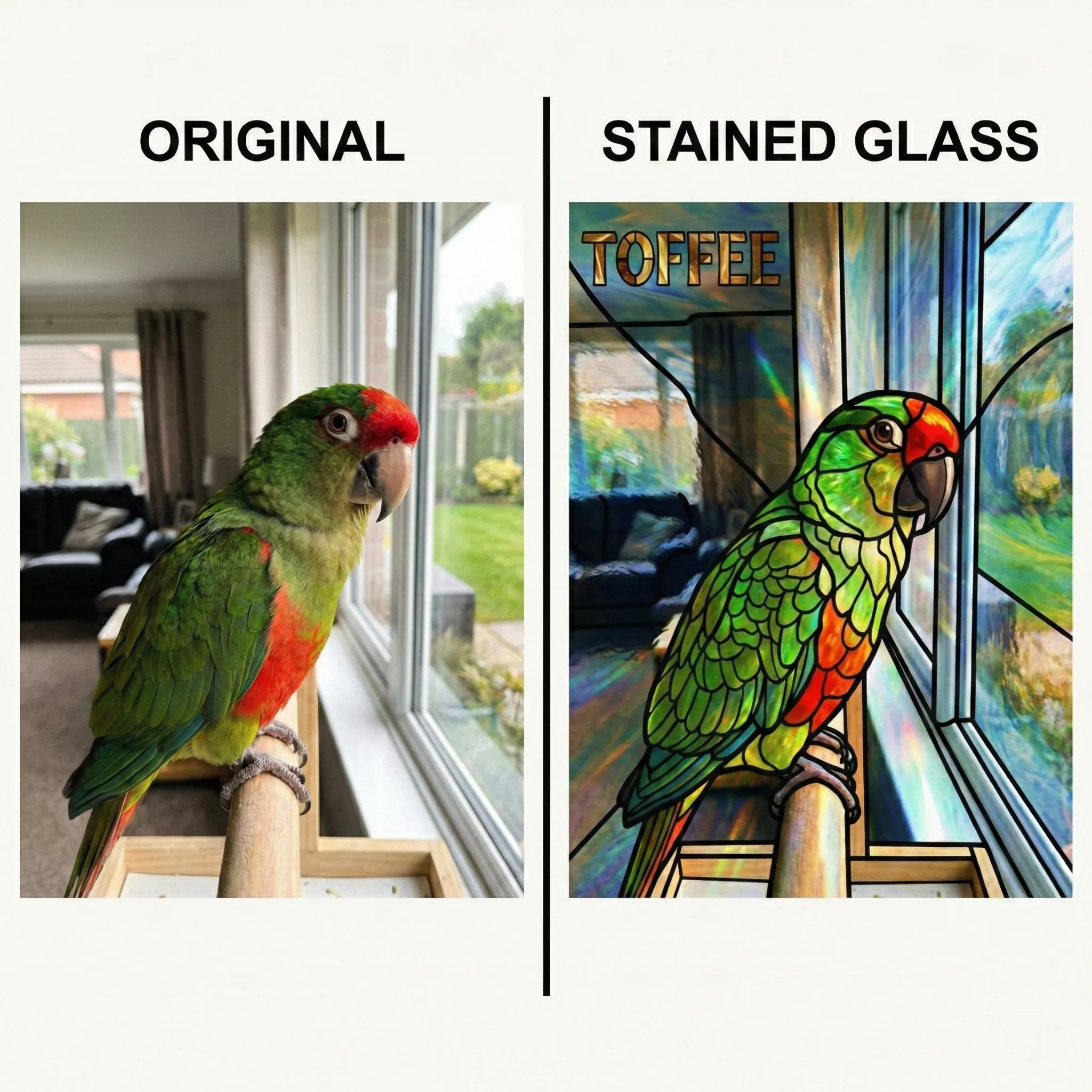 Pet Memorial Portrait