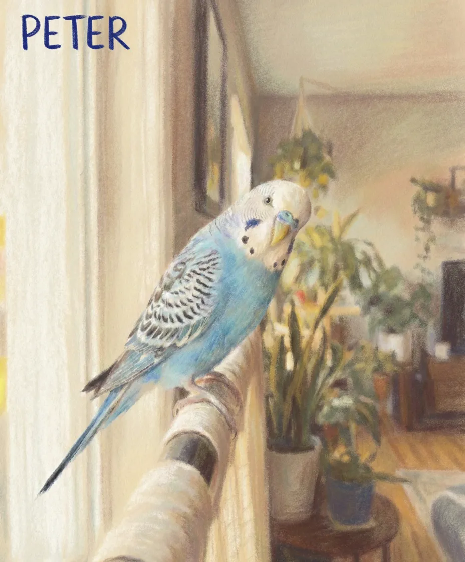 Pet Memorial Portrait
