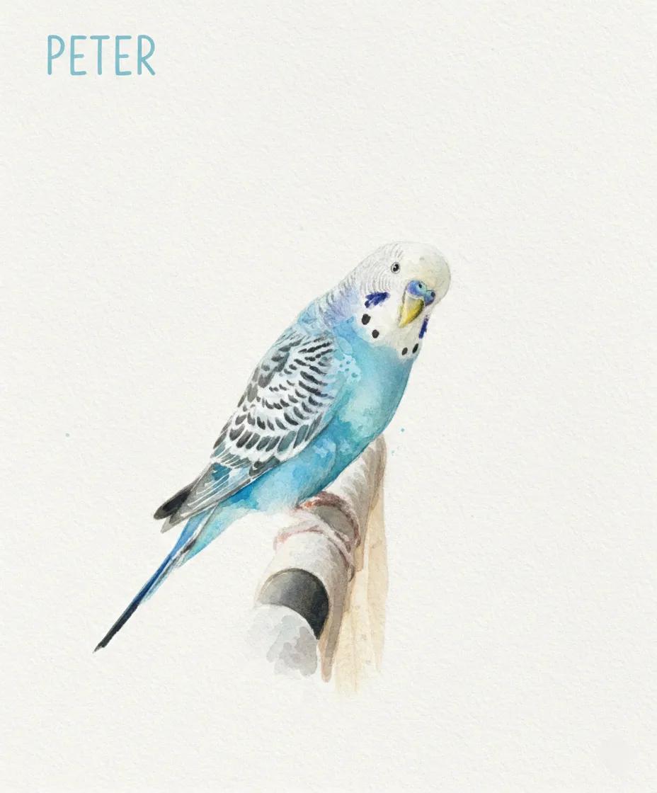 Pet Memorial Portrait