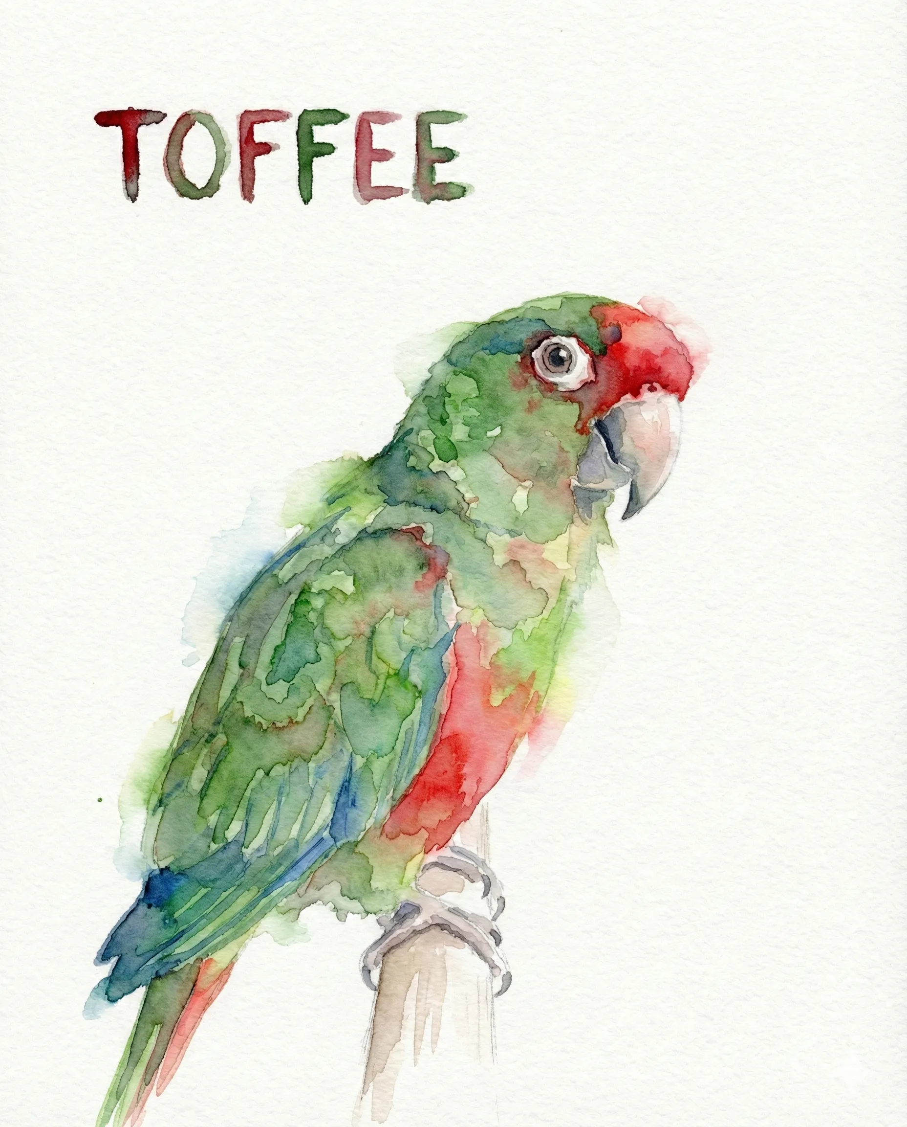 Pet Memorial Portrait