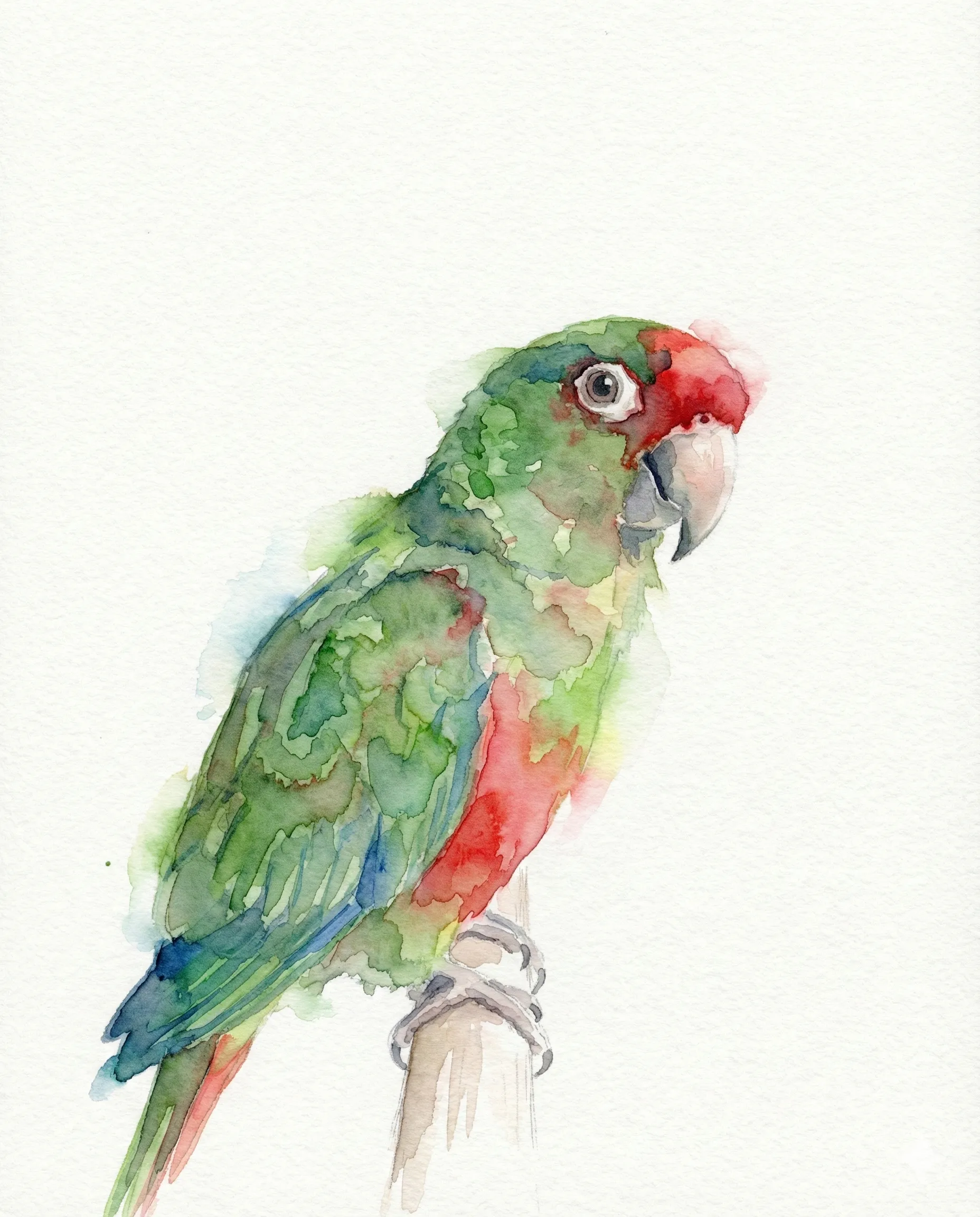Pet Memorial Portrait
